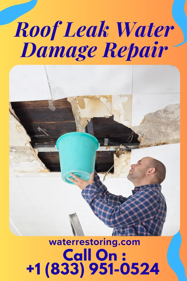 Roof Leak Water Damage Repair in Lake Park, FL
